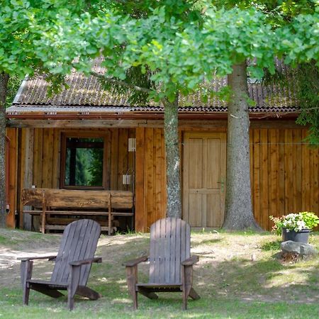 Holiday House With Sauna 采西斯 外观 照片
