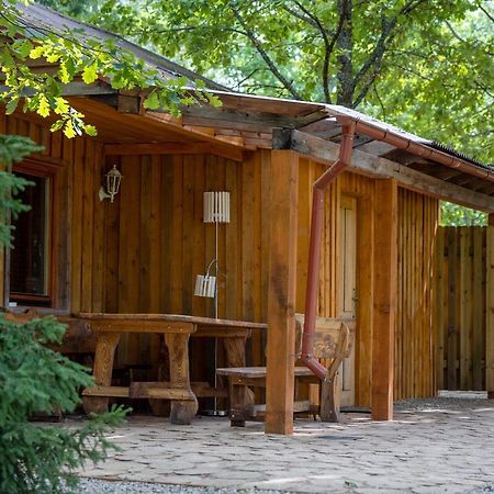 Holiday House With Sauna 采西斯 外观 照片