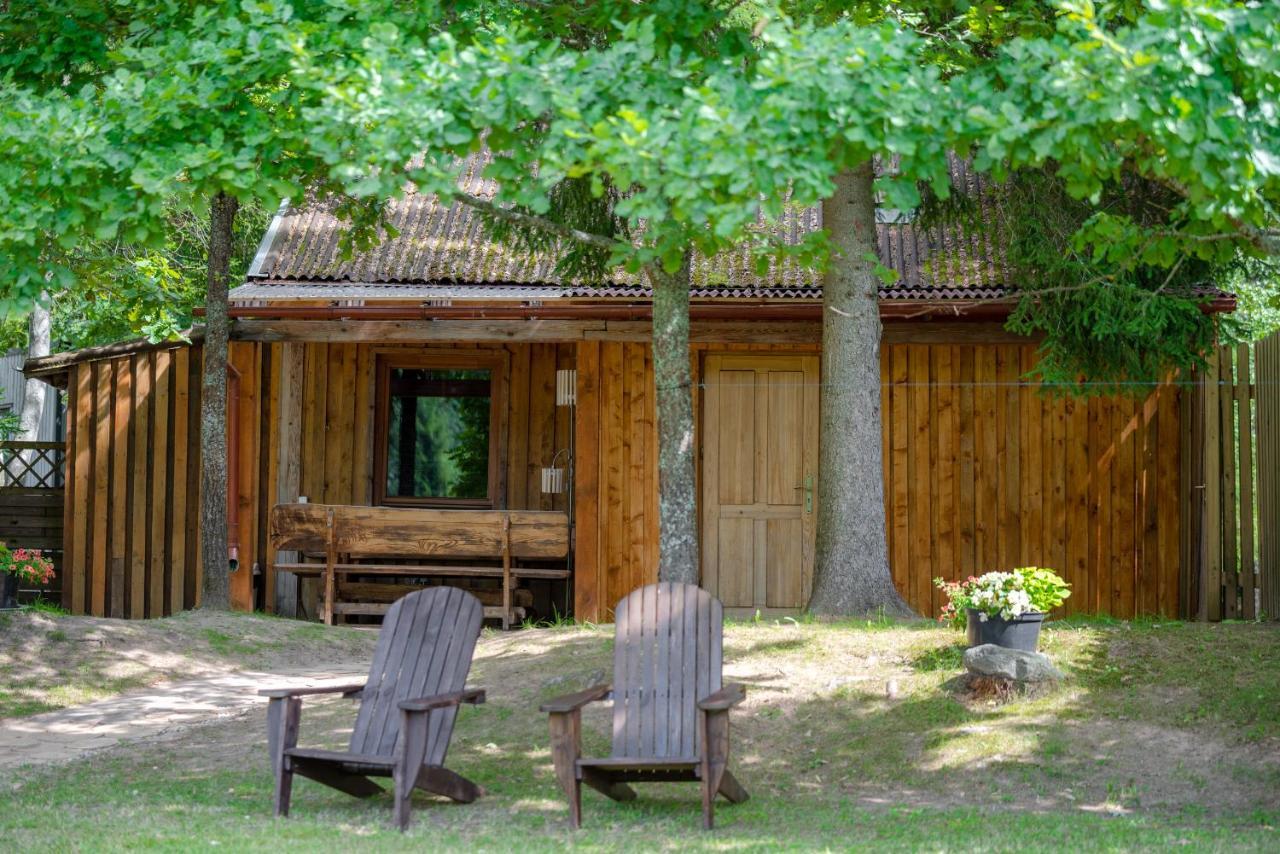 Holiday House With Sauna 采西斯 外观 照片