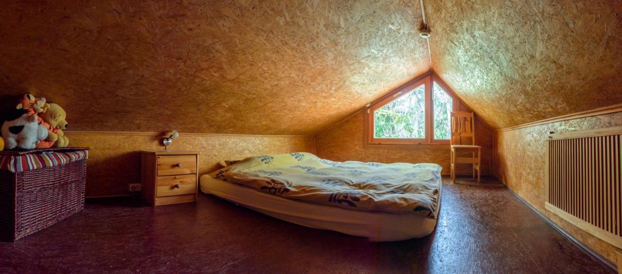 Holiday House With Sauna 采西斯 外观 照片