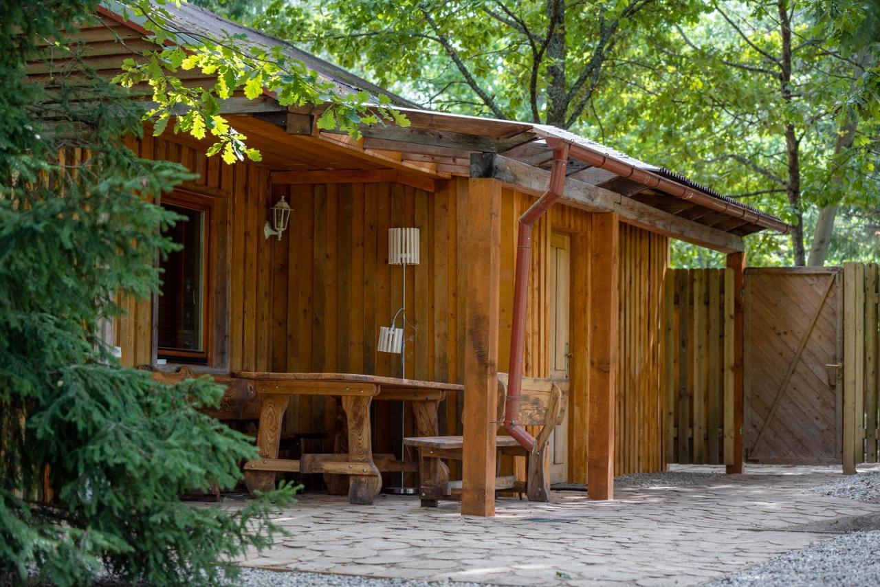 Holiday House With Sauna 采西斯 外观 照片