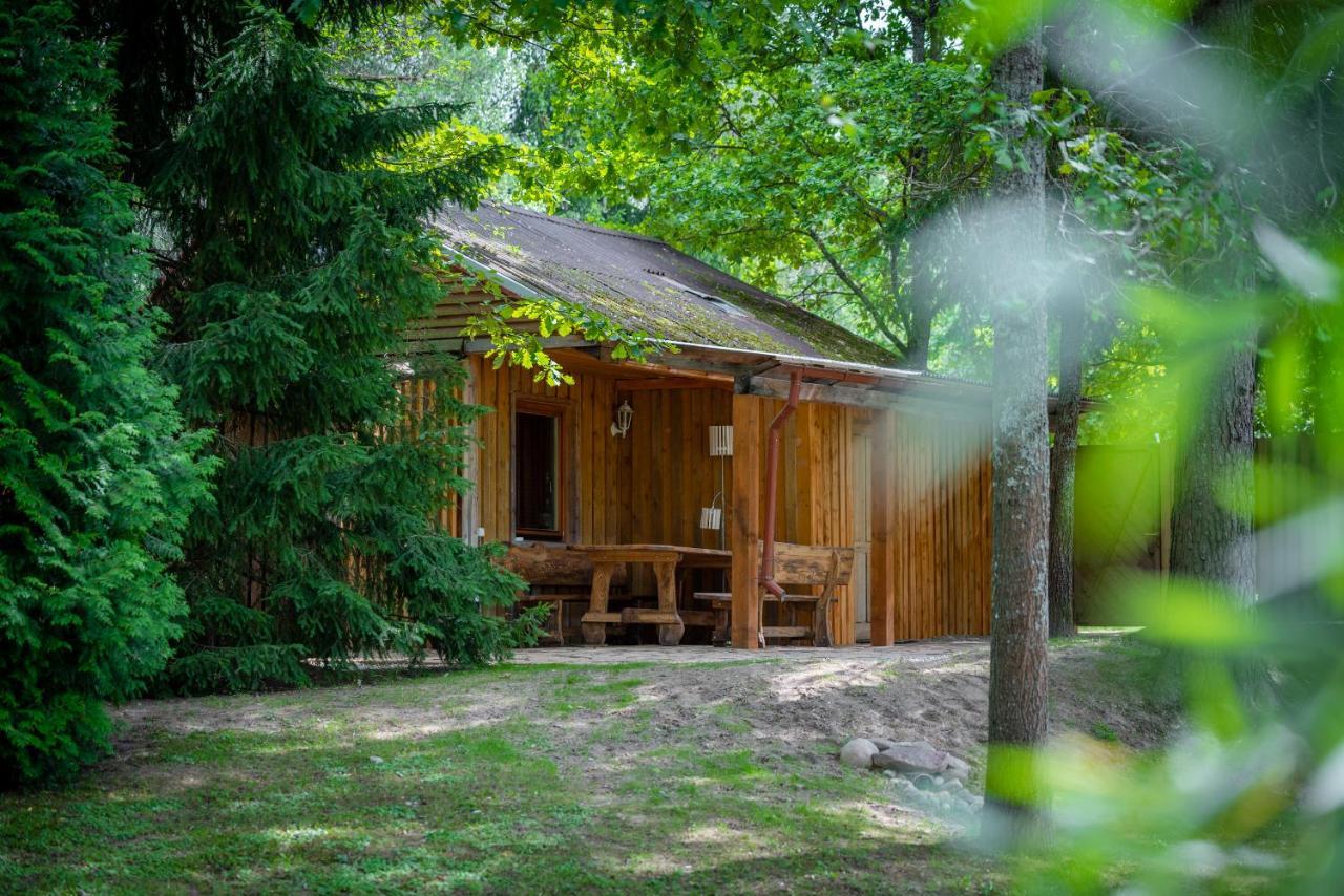 Holiday House With Sauna 采西斯 外观 照片